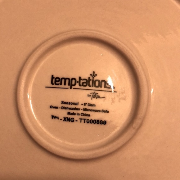 Temptations Four Piece Dinnerware - Picture 5 of 7